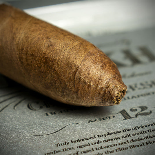Gurkha Cellar Reserve 12 Year Old Platinum Solara Double Robusto Cigar - Single