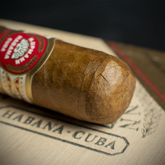 H. Upmann Connossieur B Cuban Cigar - Single