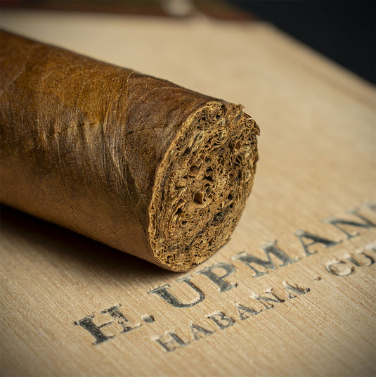 H. Upmann Connossieur B Cuban Cigar - Single