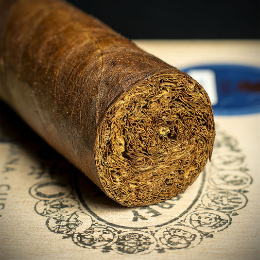 Hoyo de Monterrey Le Hoyo de Rio Seco Cigars - Box of 10