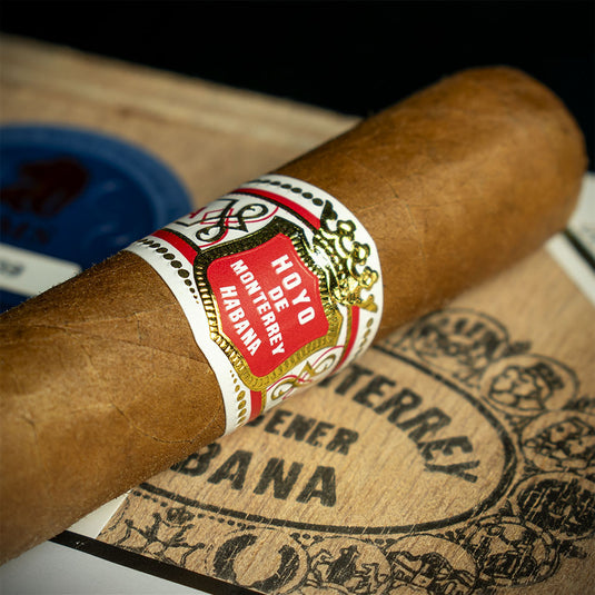 Hoyo de Monterrey Du Depute Cuban Cigar - Single