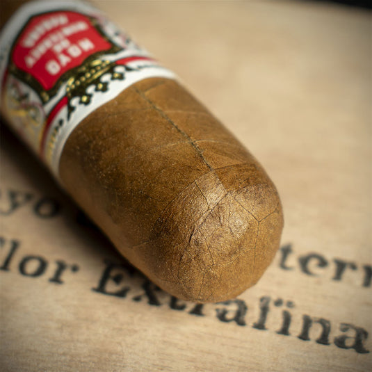 Hoyo de Monterrey Petit Robusto Cuban Cigar - Single
