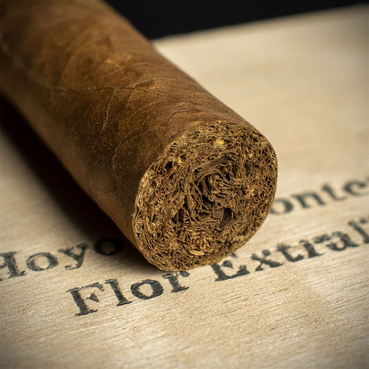 Hoyo de Monterrey Petit Robusto Cuban Cigar - Single