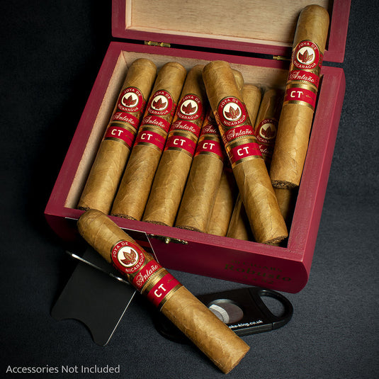 Joya de Nicaragua Antaño CT Robusto Cigar - Single