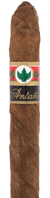Joya de Nicaragua Antano 1970 Coronet Cigar - Single