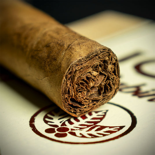 Joya de Nicaragua Cabinetta Lancero Limited Edition Cigar - Single