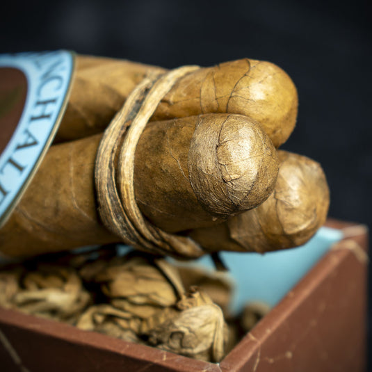 Chinchalero Culebras Braided Nicaraguan Cigars - Box of 3