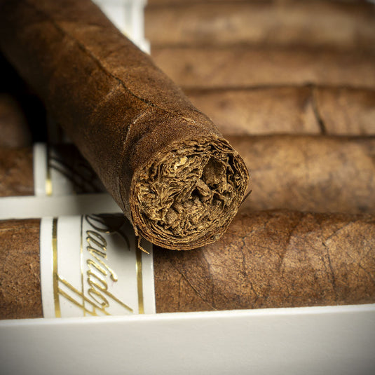 Pack of 10 - Davidoff Signature Exquisitos Cigars