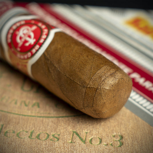 La Flor de Cano Selectos No.3 (2025 UK Regional Edition) Cuban Cigar - Single