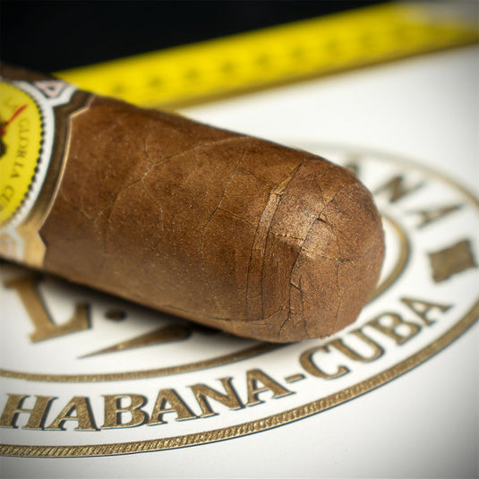 La Gloria Cubana Turquinos Limited Edition Cuban Cigar - Single