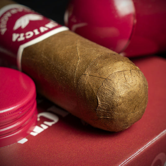 La Invicta Nicaraguan Tubos Robusto Cigar - Single