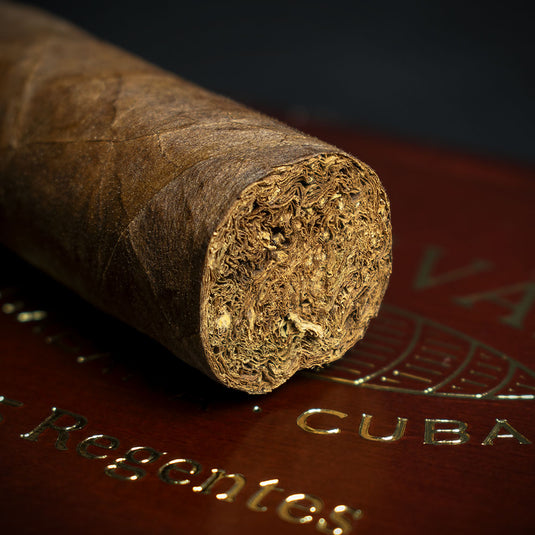 Bolivar Regentes Cuban Cigar (2021 Limited Edition) – Single