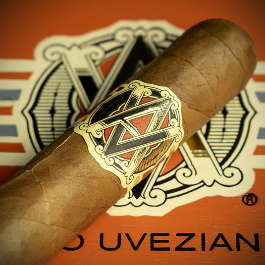 AVO XO Notturno Petit Corona Cigar - Single