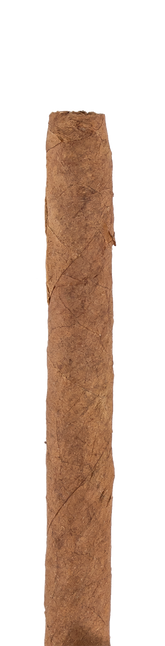 Montecristo Club Cuban Cigar - Single