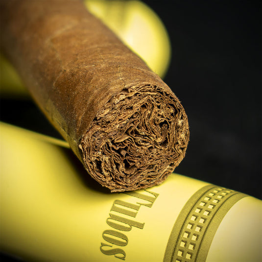 Montecristo Tubos Cuban Cigar - Single
