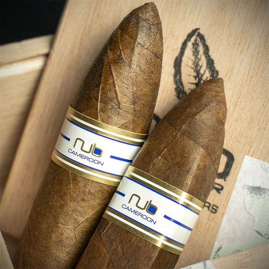 Tabacalera Oliva Nub Cigars Sampler - Box of 8