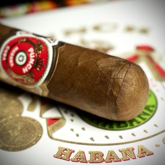 Punch Double Coronas Cuban Cigar - Single