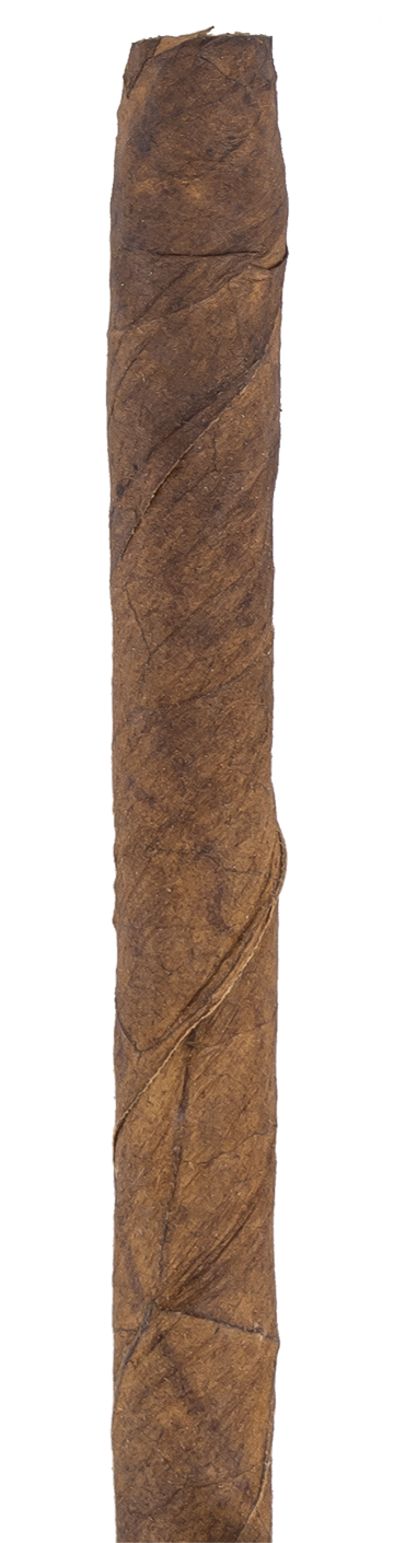 Partagas Serie Club | Zigarillos Kuba
