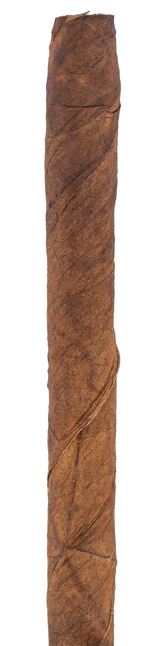 Partagas Club Cuban Cigar - Single