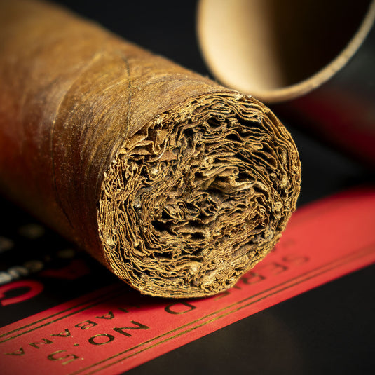 Partagas Serie D No.5 Tubos Cuban Cigar - Single