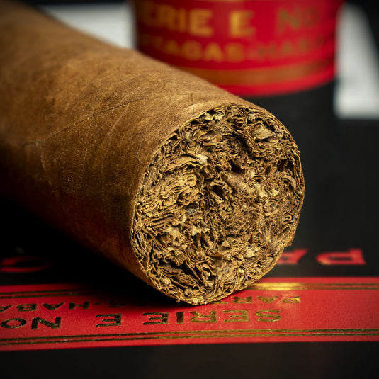 Partagas Serie E No.2 Tubos Cuban Cigars - Pack of 3