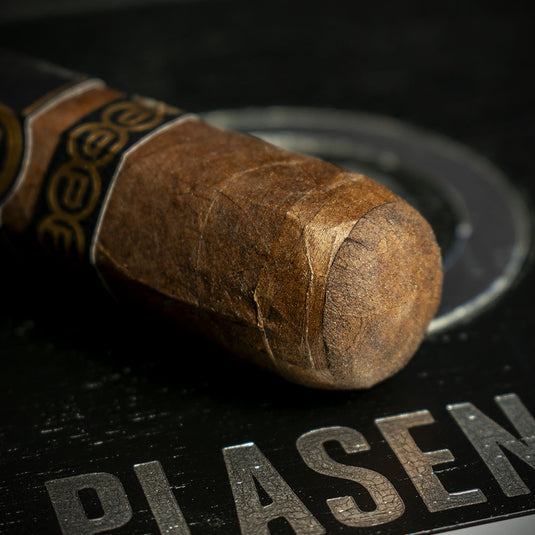 Plasencia Alma Fuerte Sixto II Hexagono Cigars - Box of 10