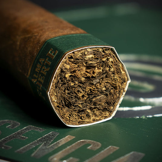 Plasencia Alma Fuerte Sixto l Hexagono Cigar - Single