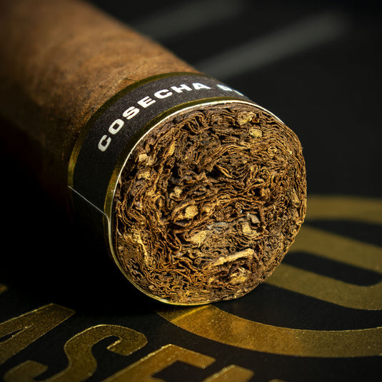 Plasencia Cosecha 151 La Musica Robusto Cigar - Single