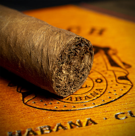 Punch Punch 48 Cuban Cigar La Casa Del Habanos - Single