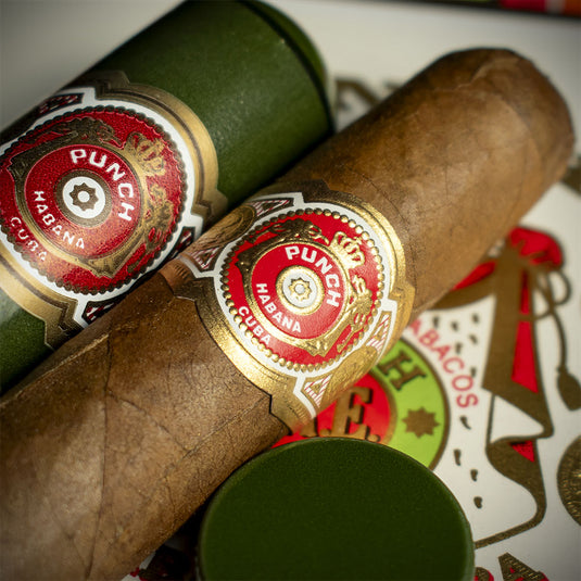 Punch Coronations (Tubed) Cuban Cigar - Single