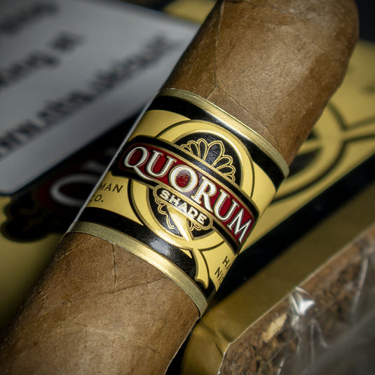 Quorum Robusto Shade Cigar