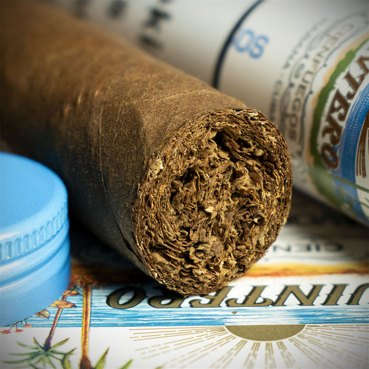 Quintero Favoritos Cuban Tubed Cigar - Single