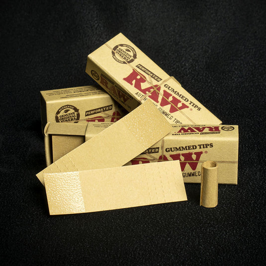 RAW Perforated Gummed Natural Tips - Bundle of 3