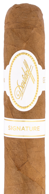 Single - Davidoff Signature 6000 Robusto Cigar