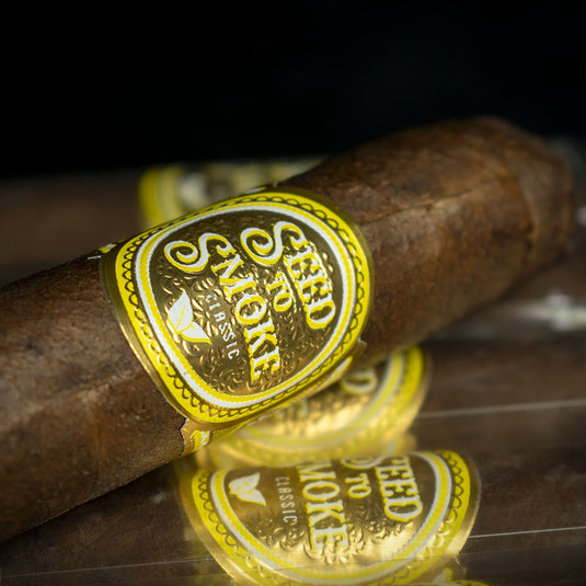 Rocky Patel Seed to Smoke Classic Maduro Toro Cigars - Pack of 10