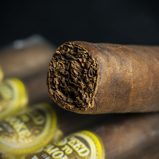 Rocky Patel Seed to Smoke Classic Maduro Toro Cigars - Pack of 10