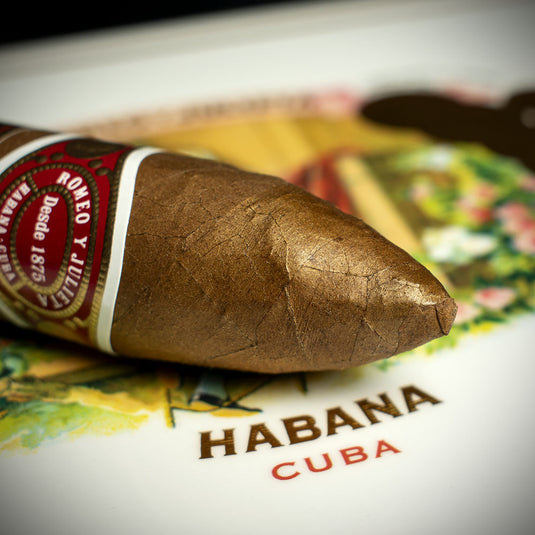 Romeo y Julieta Cupidos Cuban Cigar - Single