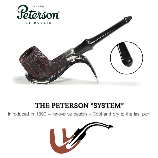 Peterson | System Rustic Briar Pipe - 31