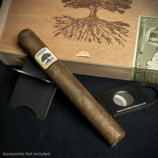 Foundation Cigars Charter Oak Connecticut Broadleaf Toro