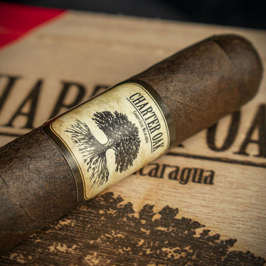 Foundation Cigars Charter Oak Connecticut Broadleaf Petite Corona Cigar - Single