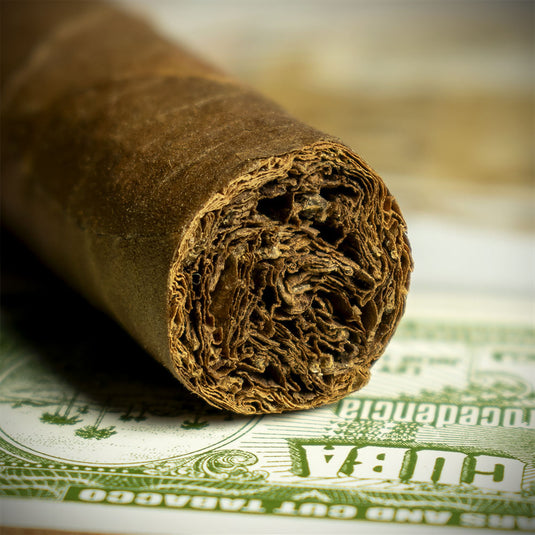 Trinidad Reyes Cuban Cigars - Box of 12