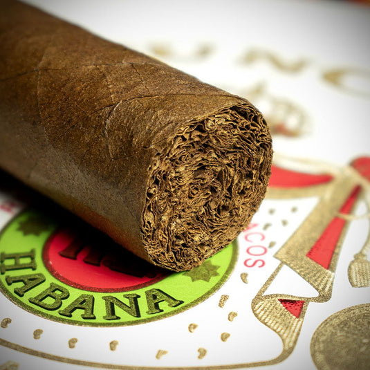 Punch Double Coronas Cuban Cigar - Single