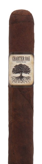 Foundation Cigars Charter Oak Connecticut Broadleaf Petite Corona Cigar - Single
