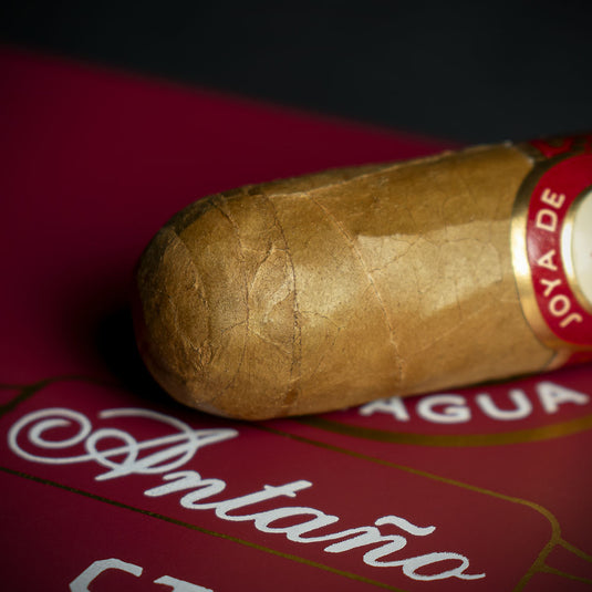 Joya de Nicaragua Antaño CT Robusto Cigar- Single
