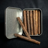 Smoke-King Dutch Senoritas Brasil - 12 Tin