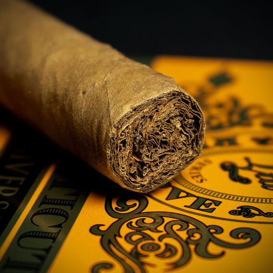 Perdomo 10th Anniversary Connecticut Nicaraguan Puritos - Tin of 5 Cigars