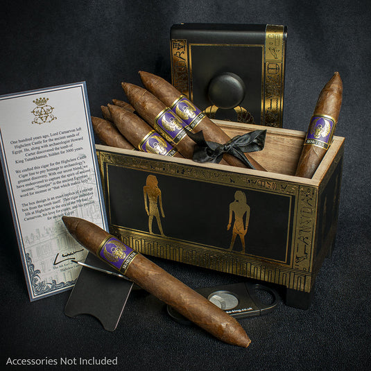 Foundation Cigars Highclere Castle Senetjer – Single