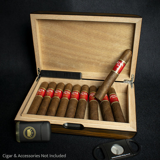 Walnut Finish Humidor - 10 Cigar Capacity