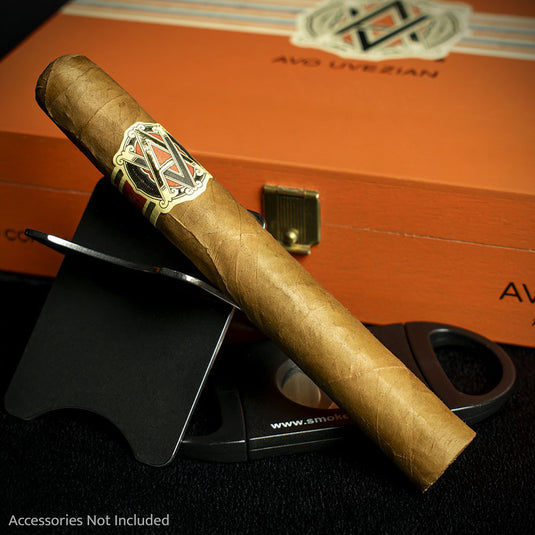 AVO XO Notturno Petit Corona Cigar - Single