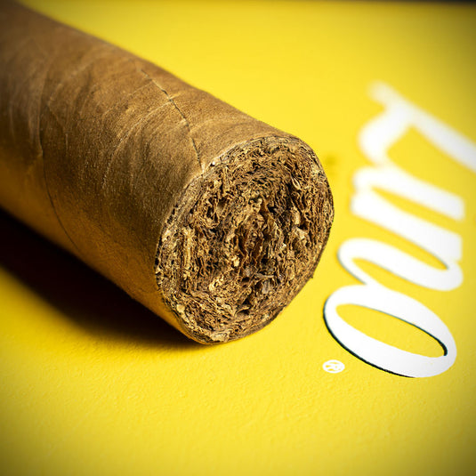 Zino Nicaragua Gordo Cigar - Single